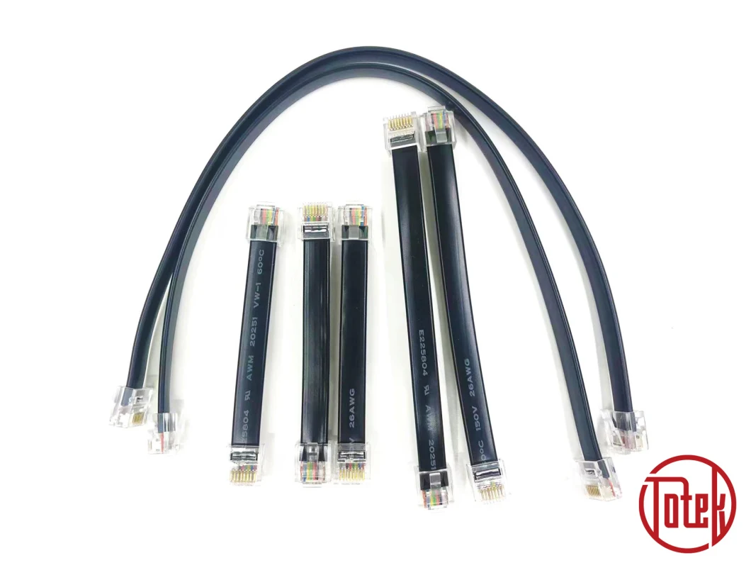 Custom RJ45 LAN Cable Internet Link Cable